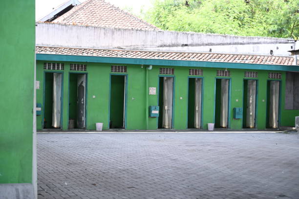 Best Sanitation services for porta potties  in Lakeview, WA